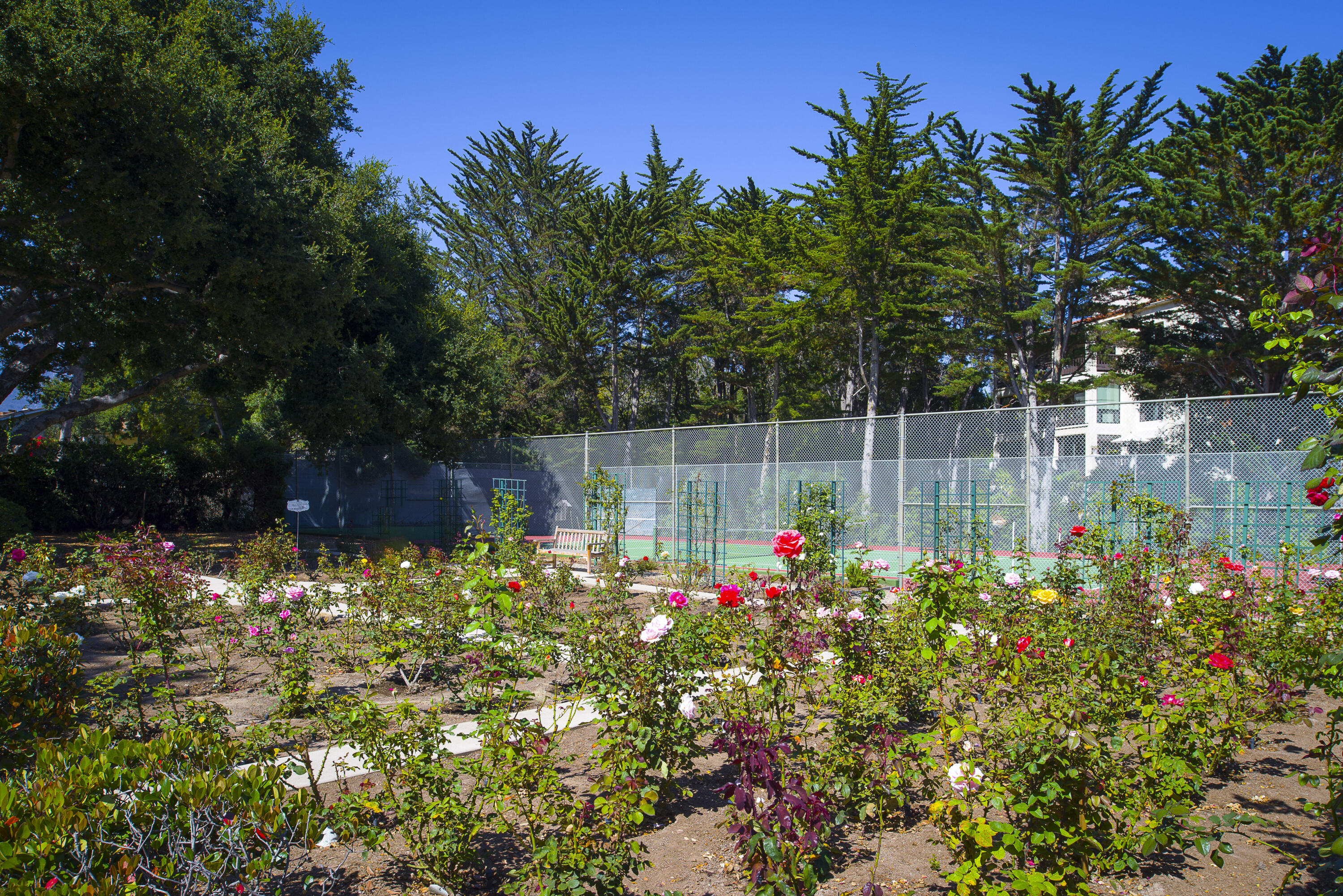 1381 Plaza Pacifica Montecito, CA 93108 - Photo 6 of 6 a view of a garden