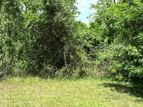 $70,000 | 0 River Valley Drive, Wharton, TX 77488