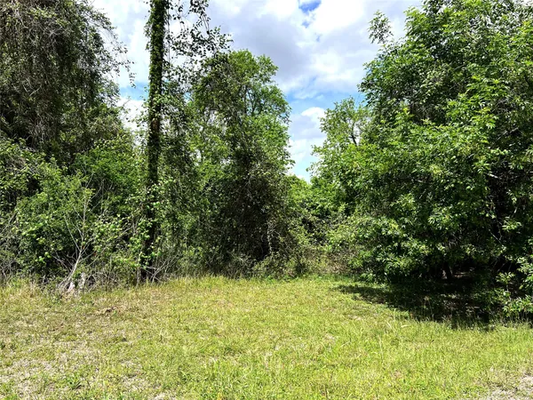 $70,000 | 0 River Valley Drive, Wharton, TX 77488