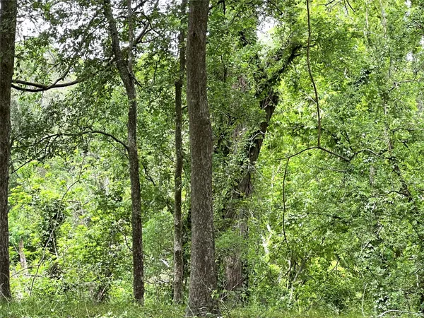 $70,000 | 0 River Valley Drive, Wharton, TX 77488