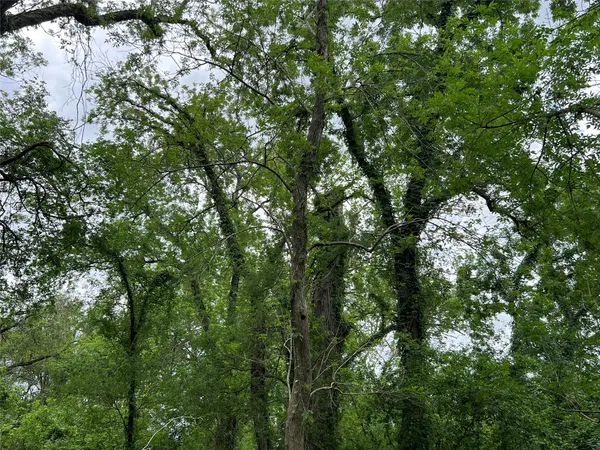 $70,000 | 0 River Valley Drive, Wharton, TX 77488