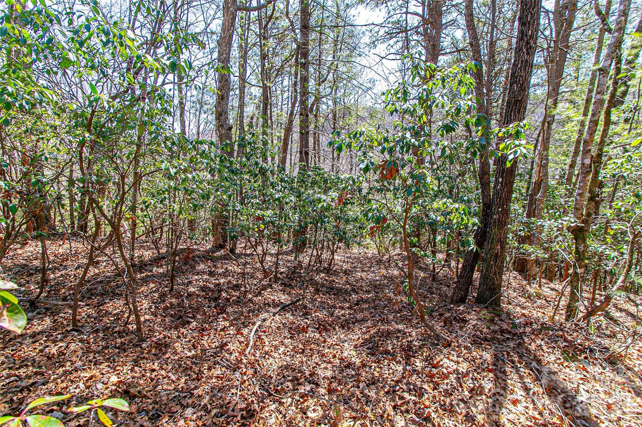 Tbd Still Branch Road, Unit L20 Brevard, NC 28712 - Photo 12 of 26