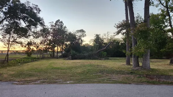 a view of outdoor space with trees