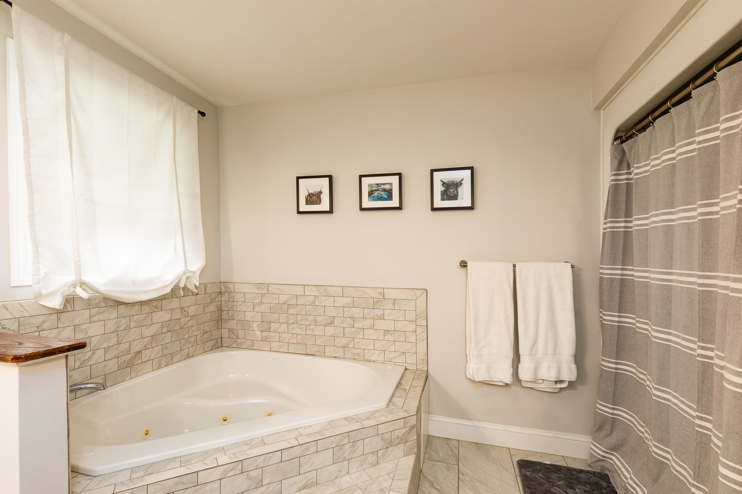 50 Sioux Path Sunapee, NH 03782 - Photo 28 of 37 Gallery Image 28
