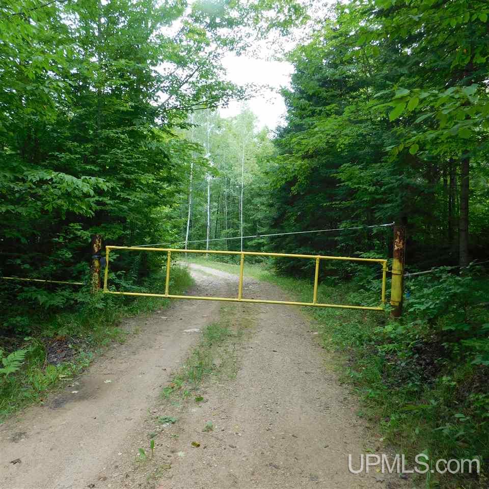 Tbd Tbd Off Fox Farm Road Hermansville, MI 49847 - Photo 1 of 12