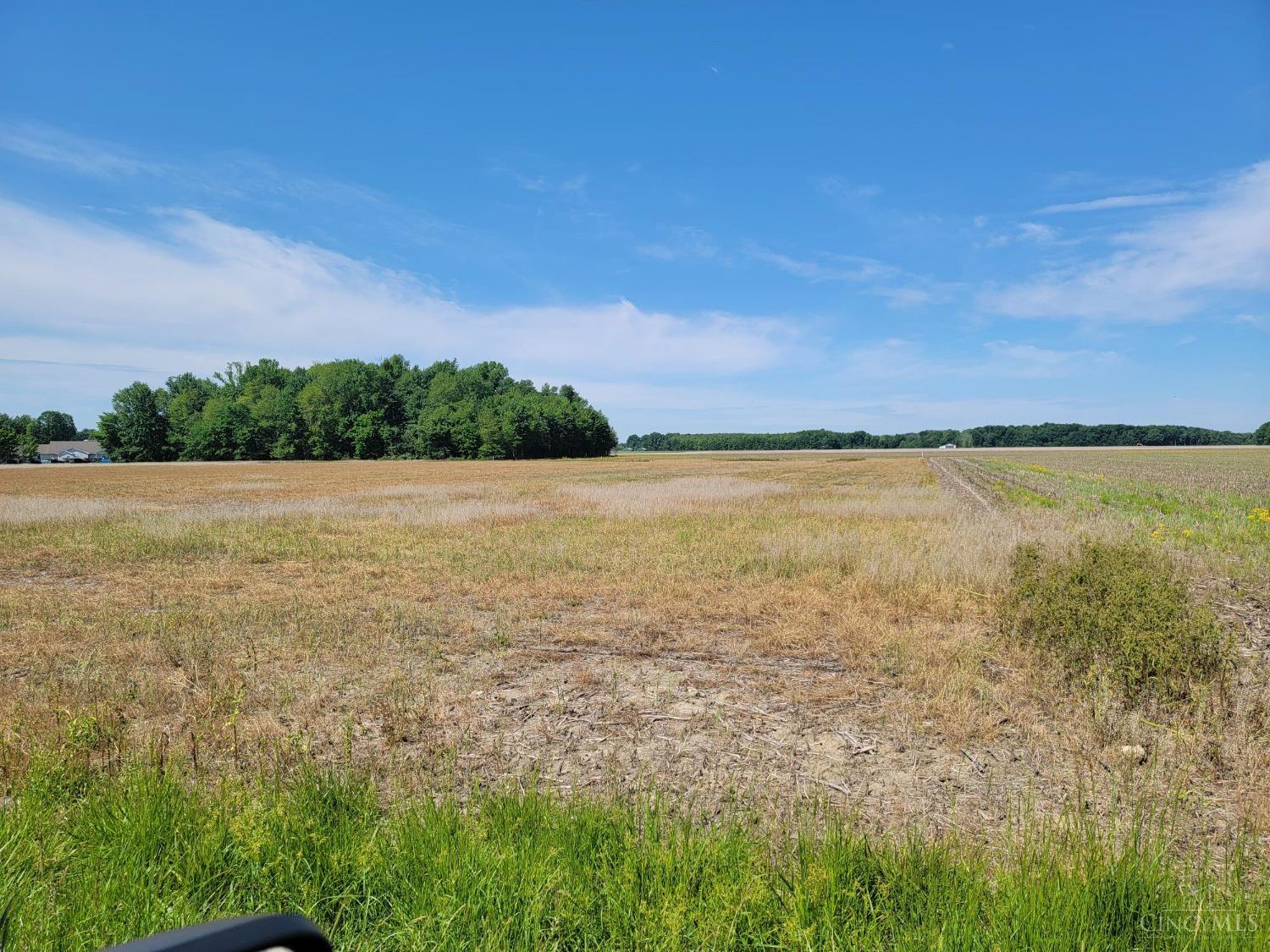 0 State Rte 101 Milan, IN 47031 - Photo 3 of 11