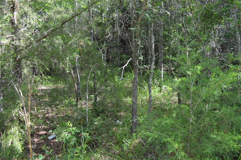 760 County Road, Unit 2315 Eustace, TX 75124 - Photo 19 of 19