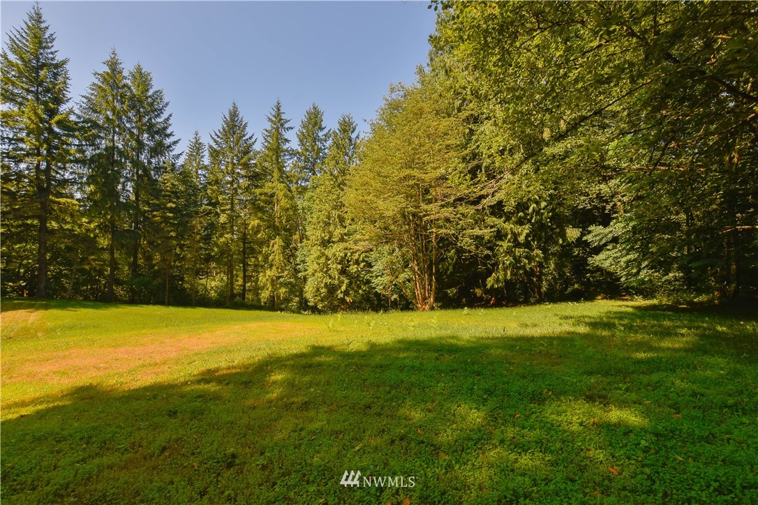 19409 High Rock Road Monroe, WA 98272 - Photo 36 of 40 a view of yard with green space and trees all around
