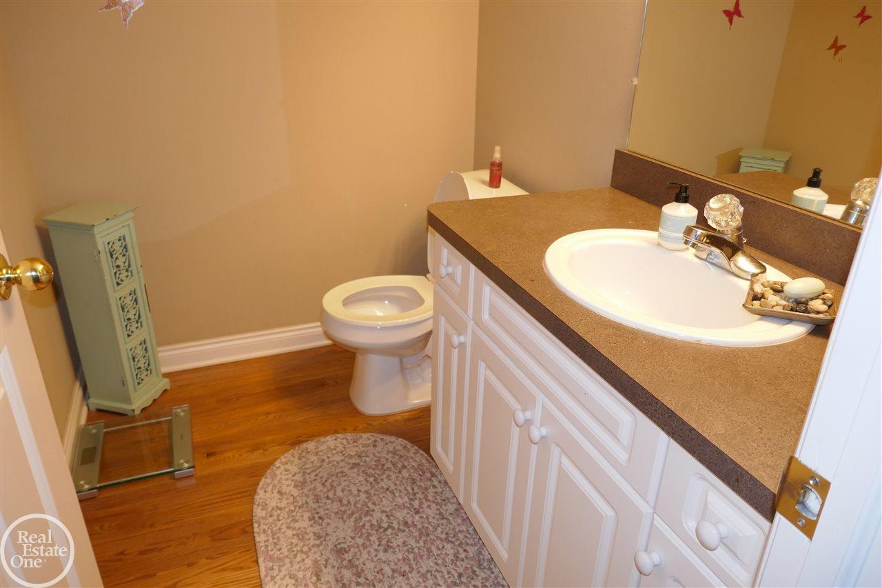 6590 Chatham Circle Rochester, MI 48306 - Photo 54 of 57 50004637-53.JPG