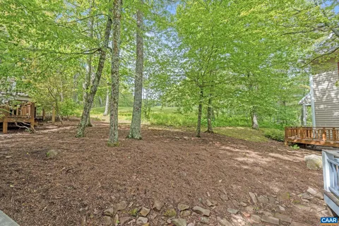 a view of a yard with a tree