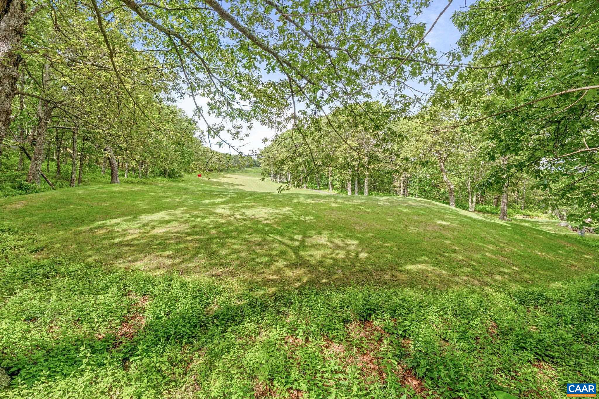 23 Trillium Cl Roseland, VA 22967 - Photo 46 of 48 a view of a field with a tree