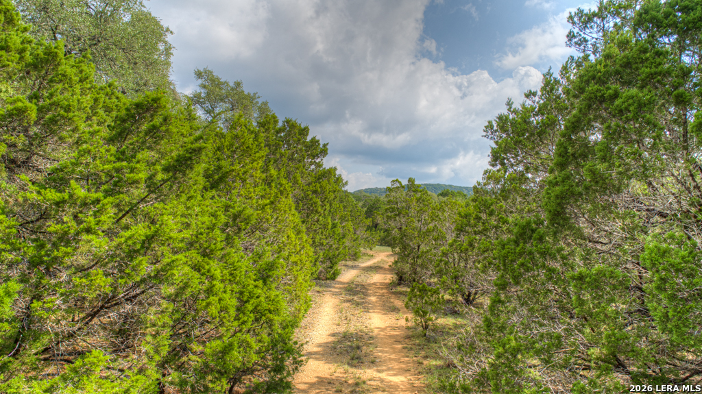 Tract 8 Shellyholm Ranch Road Fischer, TX 78623 - Photo 10 of 13 a pathway of a yard