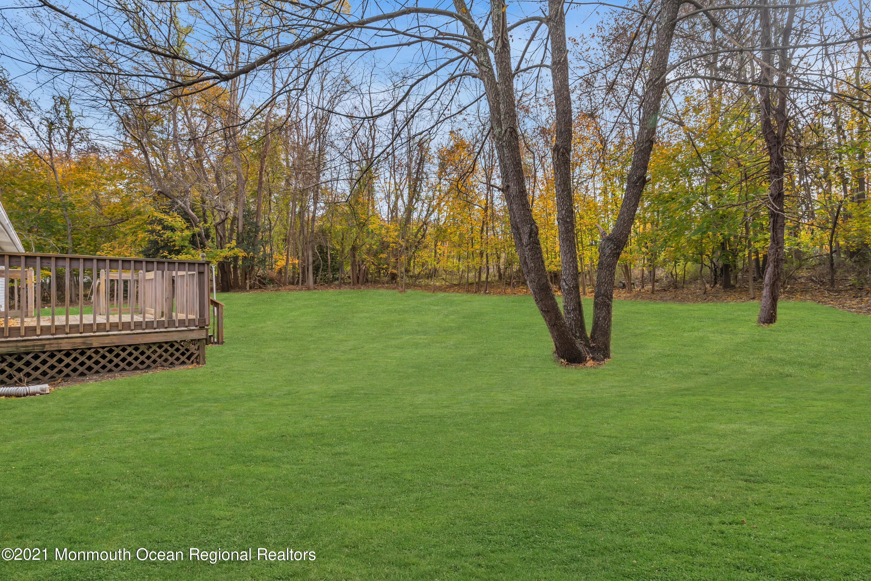 11 Tennent Road Morganville, NJ 07751 - Photo 15 of 20 a view of a trees with a yard