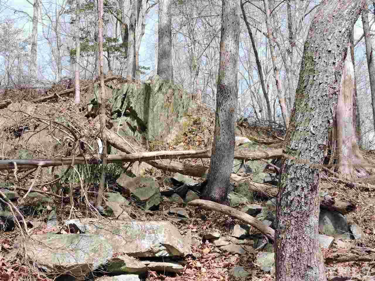 4.54-ac Rassie Crabtree Road Rougemont, NC 27572 - Photo 4 of 9 a picture of tree