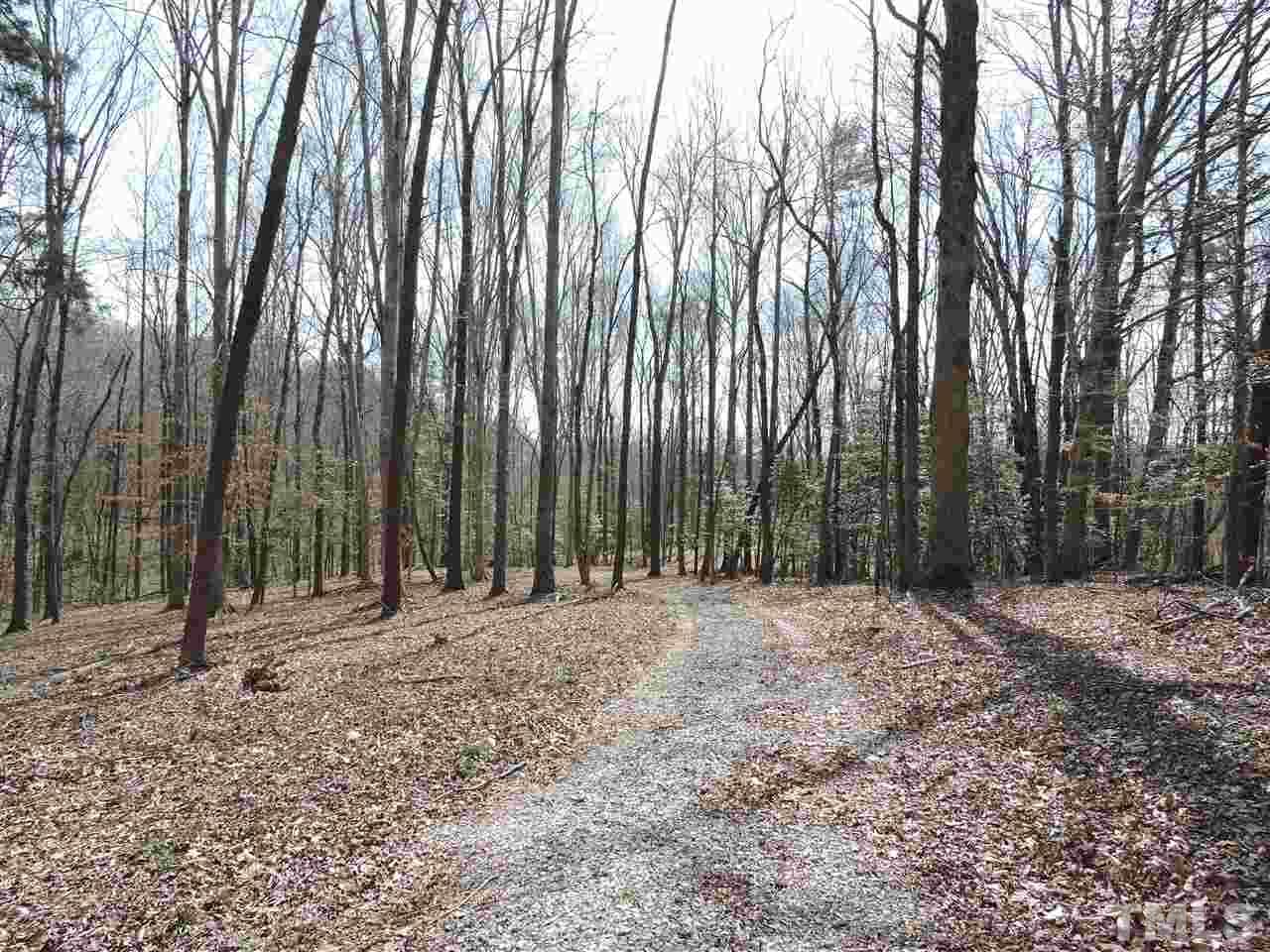 4.54-ac Rassie Crabtree Road Rougemont, NC 27572 - Photo 6 of 9 a view of outdoor space and yard