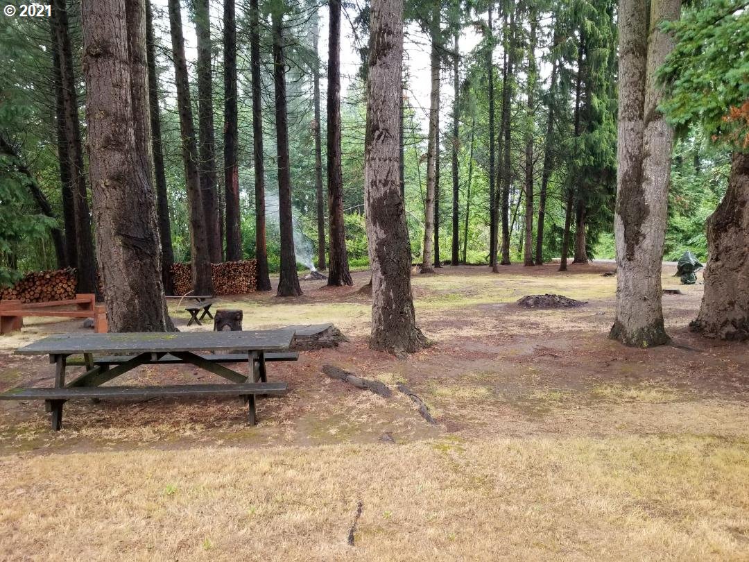 29223 South Meridian Road Hubbard, OR 97032 - Photo 28 of 32 a view of park with trees and outdoor seating