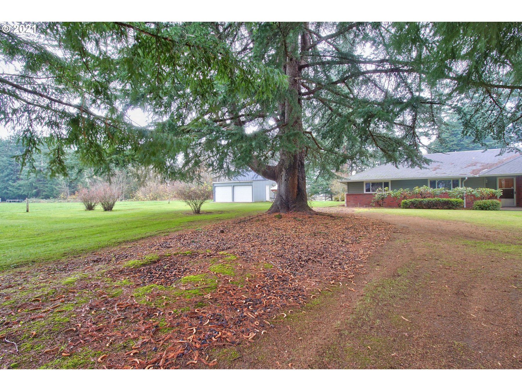 29223 South Meridian Road Hubbard, OR 97032 - Photo 29 of 32 a view of a yard with large trees