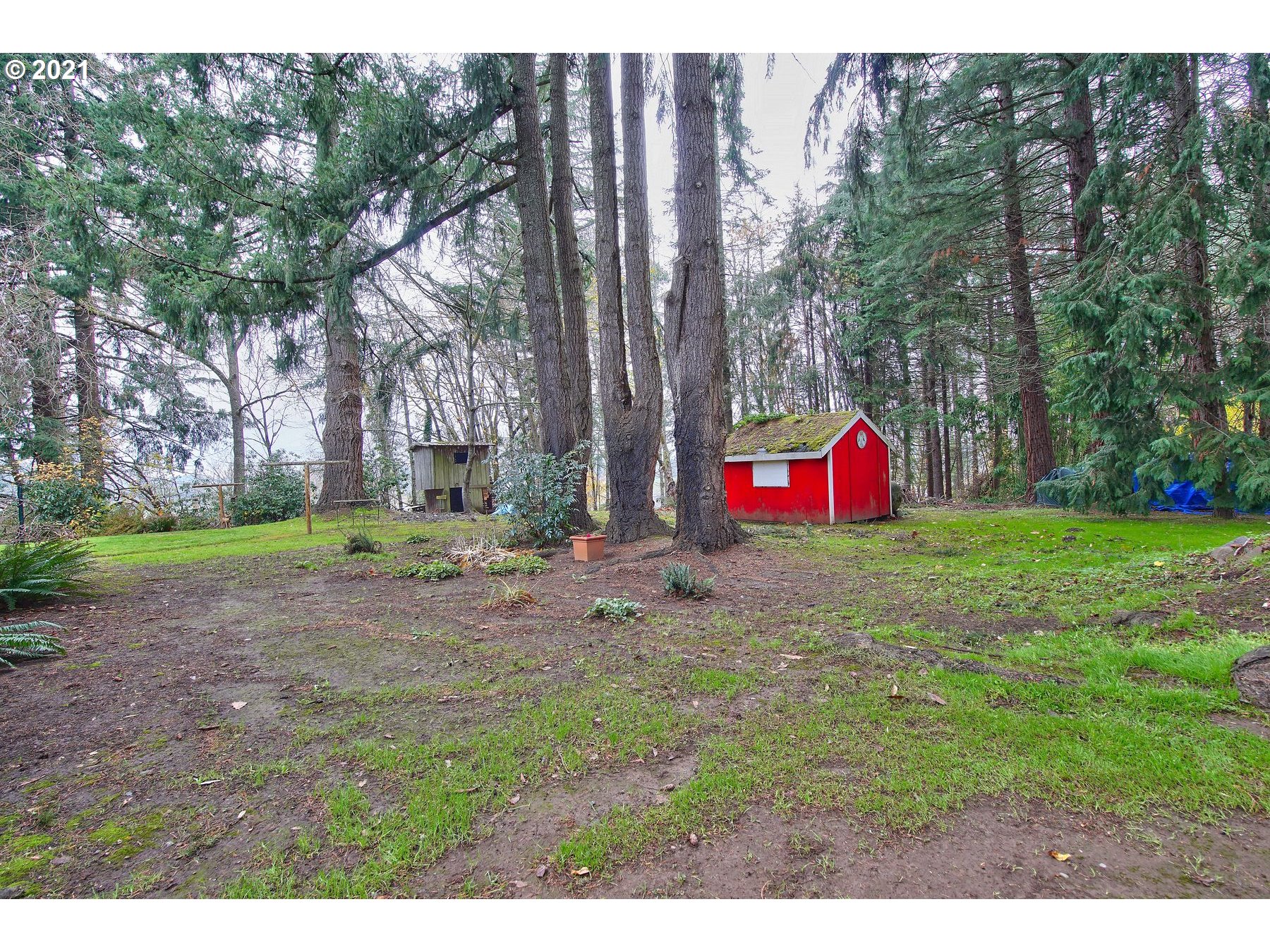 29223 South Meridian Road Hubbard, OR 97032 - Photo 30 of 32 a view of backyard with green space