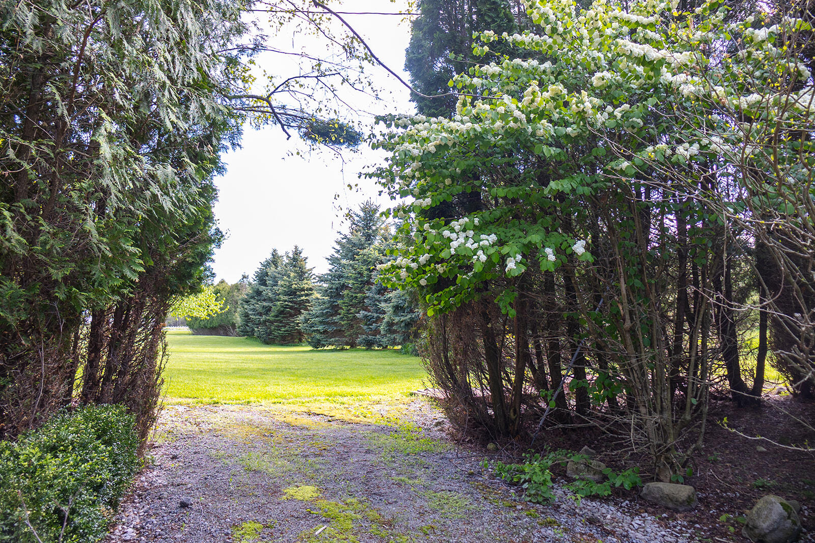 5251 West Spring Creek Road Three Oaks, MI 49128 - Photo 21 of 40 452A5235