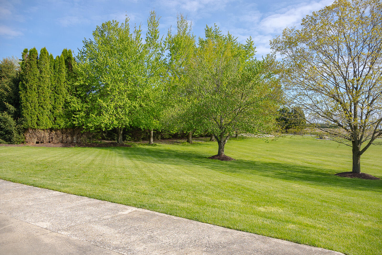 5251 West Spring Creek Road Three Oaks, MI 49128 - Photo 34 of 40 452A5258