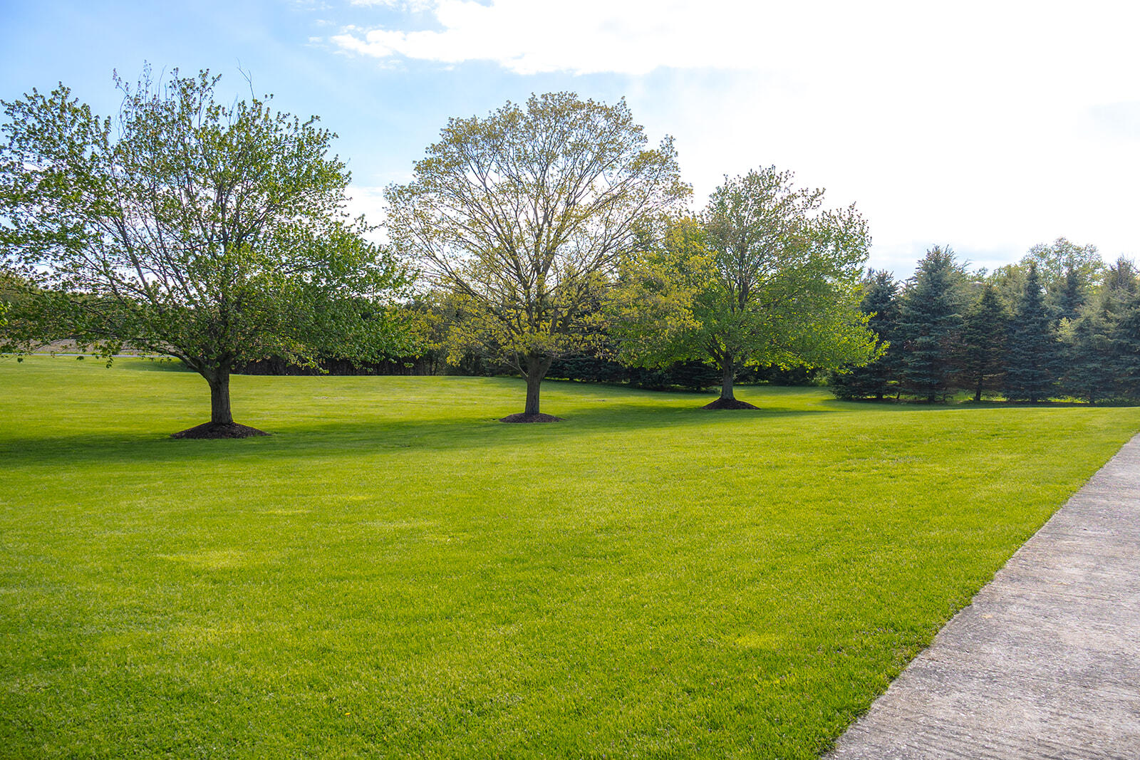 5251 West Spring Creek Road Three Oaks, MI 49128 - Photo 35 of 40 452A5300