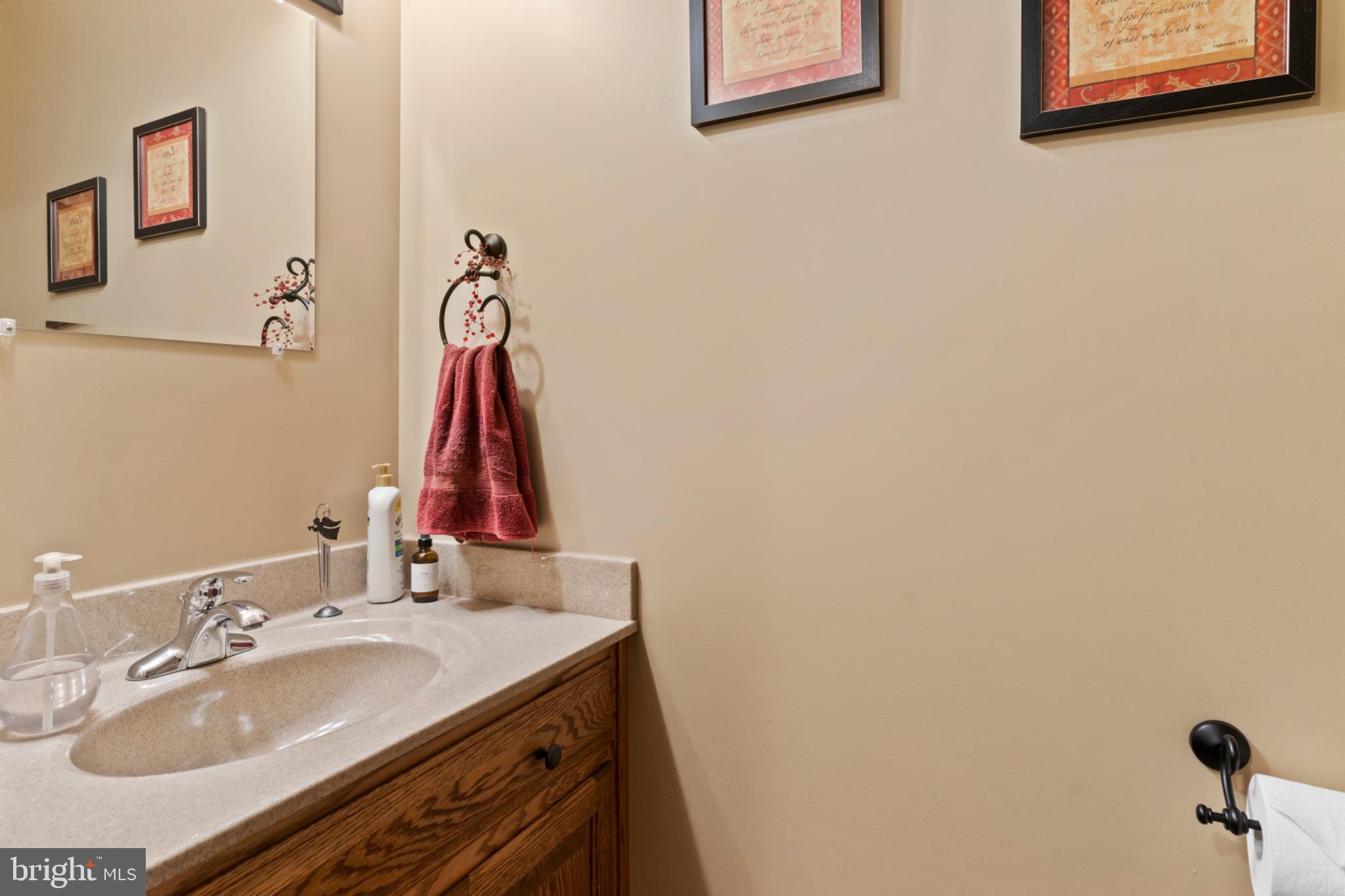 2244 Community Center Road St. Thomas, PA 17252 - Photo 16 of 52 Charming bathroom with elegant decor.