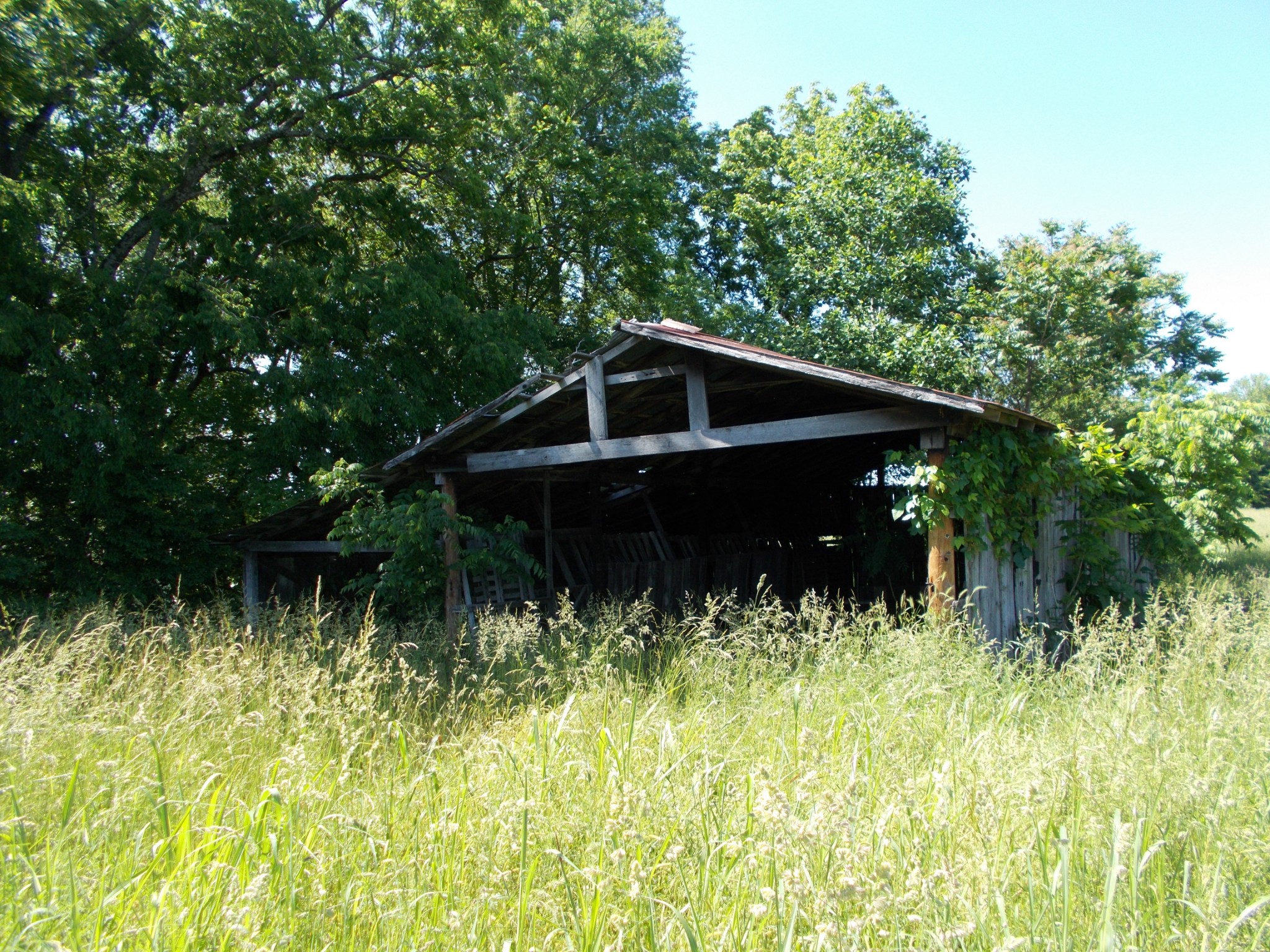 2846 Lockertsville Road Ashland City, TN 37015 - Photo 26 of 37 a front view of house with a yard