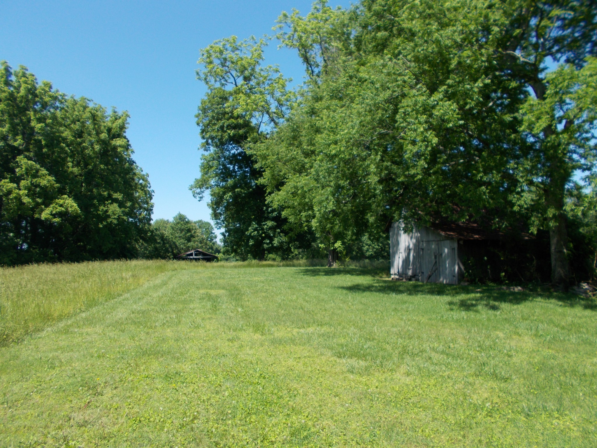 2846 Lockertsville Road Ashland City, TN 37015 - Photo 3 of 37 a view of a backyard