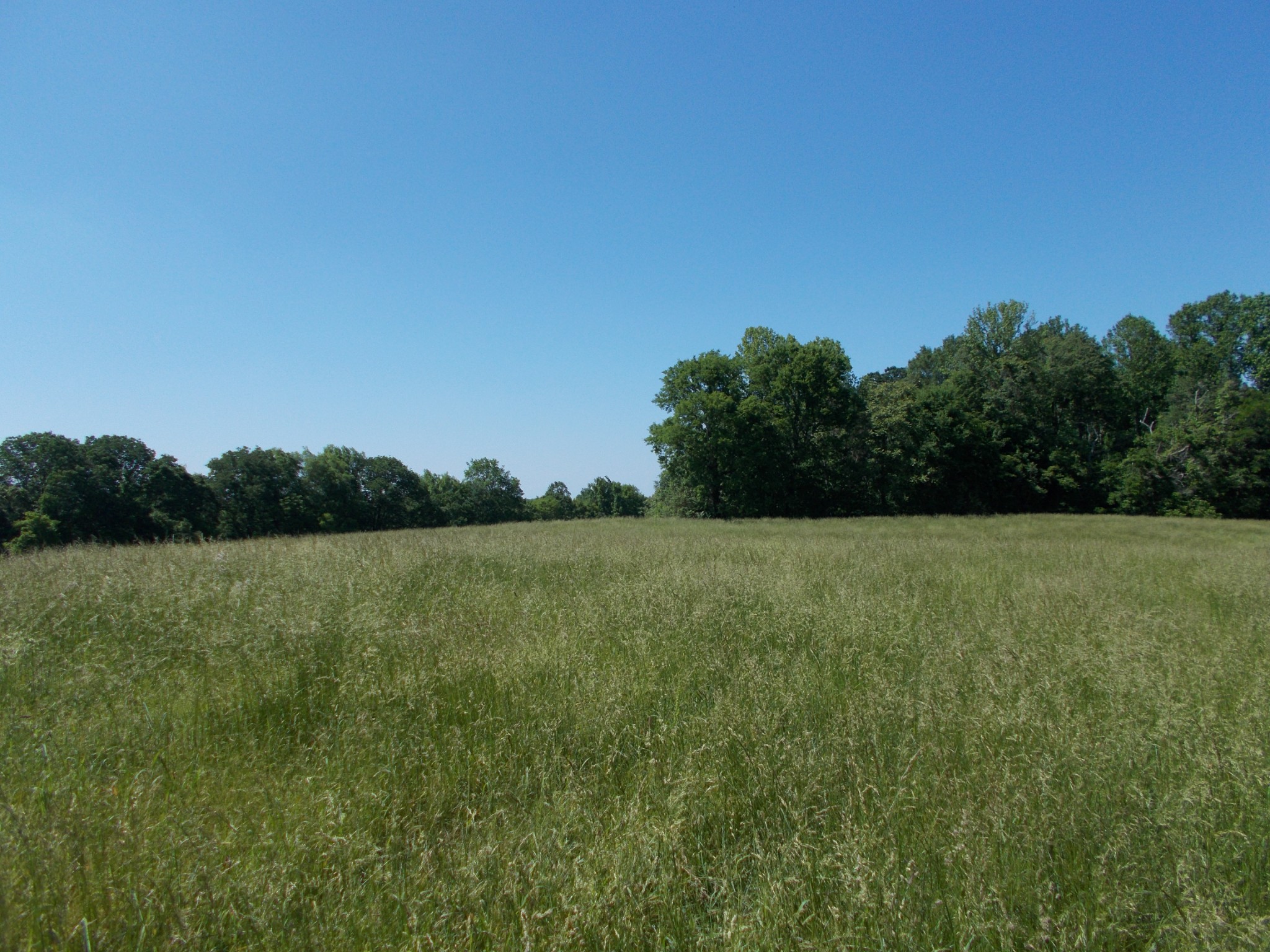 2846 Lockertsville Road Ashland City, TN 37015 - Photo 35 of 37 a view of a field of grass and trees