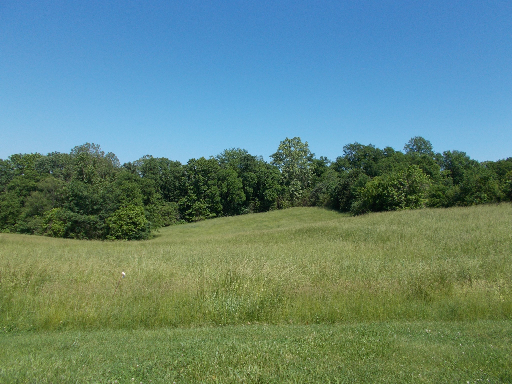 2846 Lockertsville Road Ashland City, TN 37015 - Photo 36 of 37 a view of outdoor space and yard