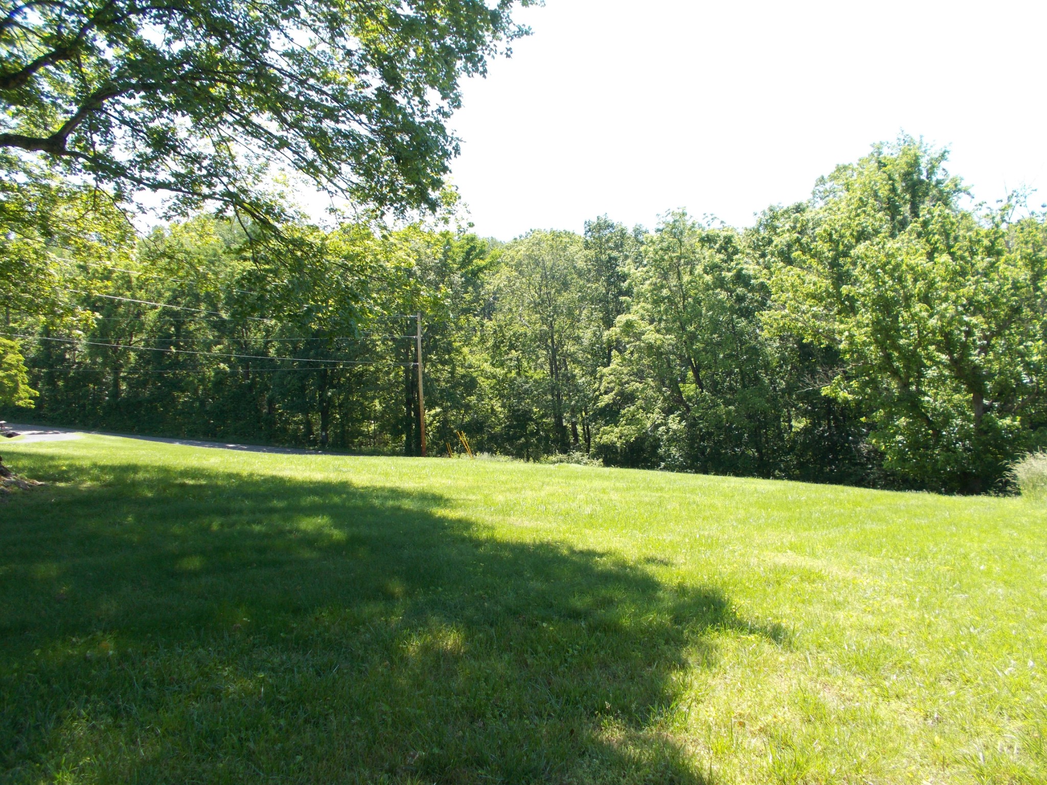 2846 Lockertsville Road Ashland City, TN 37015 - Photo 5 of 37 a view of a field with a trees in the background