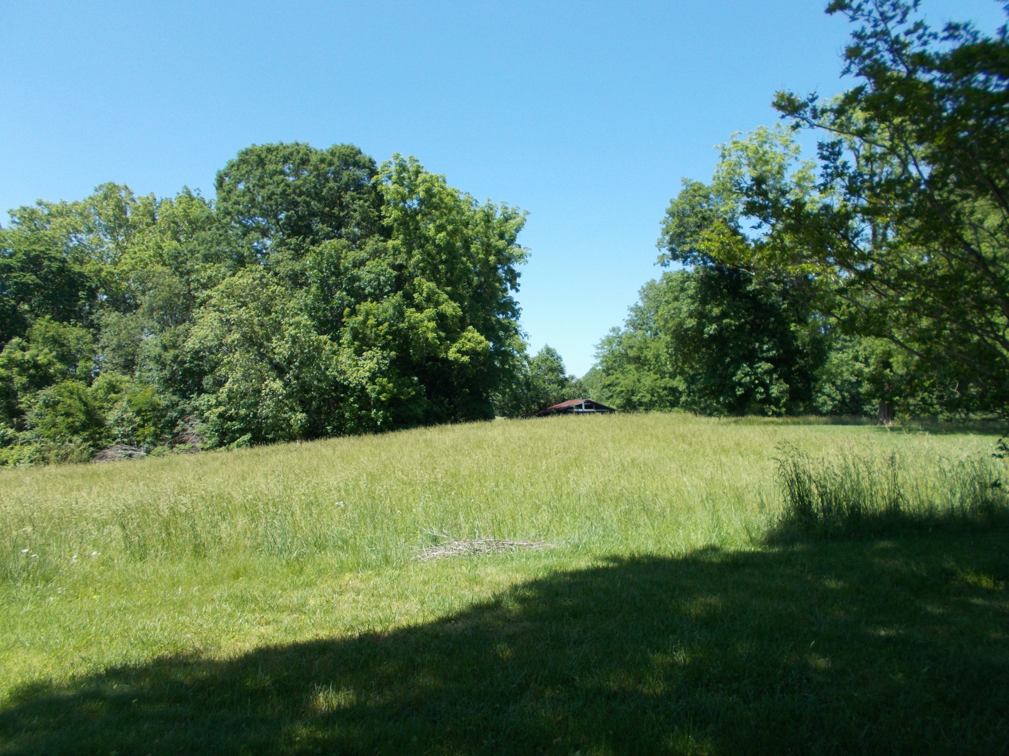 2846 Lockertsville Road Ashland City, TN 37015 - Photo 6 of 37 a view of a field with grass space
