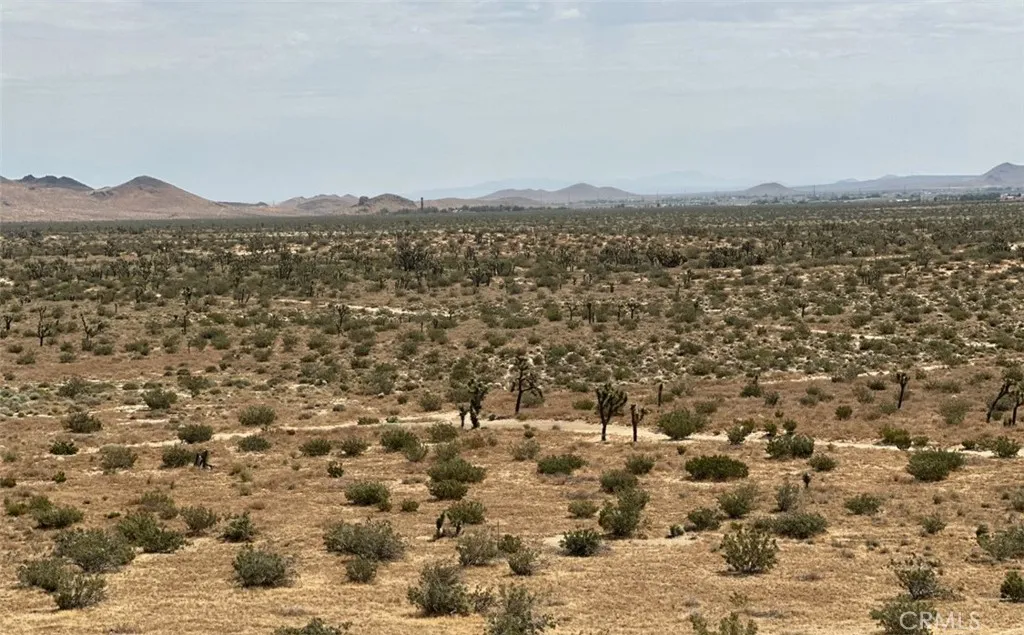 34529318 Mojave Riverside, CA 92501 - Photo 2 of 4