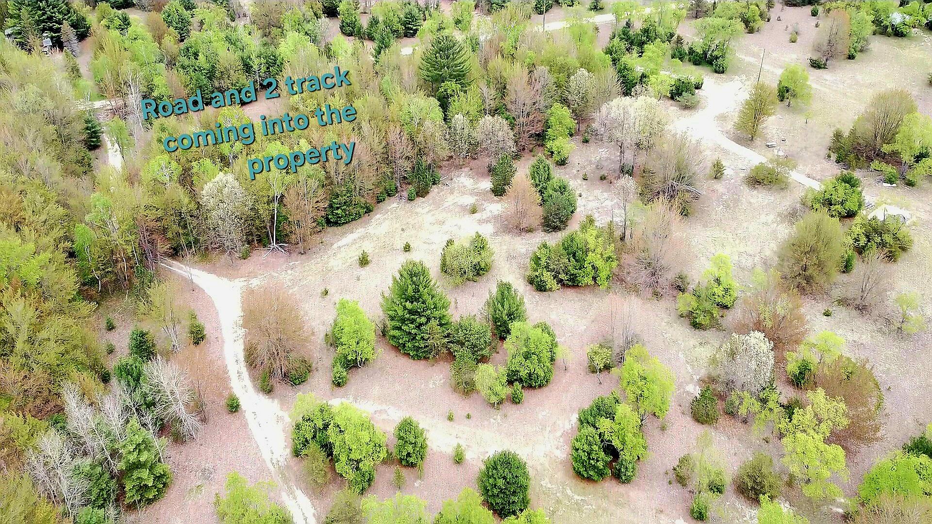 2187 Koenig Road Manistee, MI 49660 - Photo 9 of 20 2187 Koenig Rd