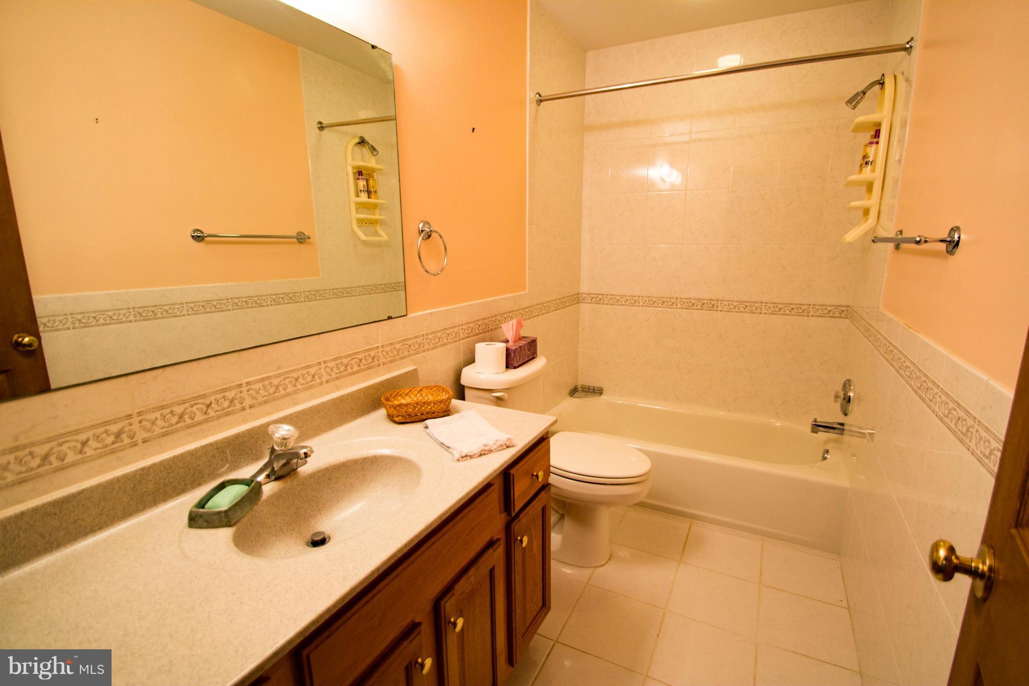 12536 Mummert Road Big Pool, MD 21711 - Photo 16 of 30 Bath