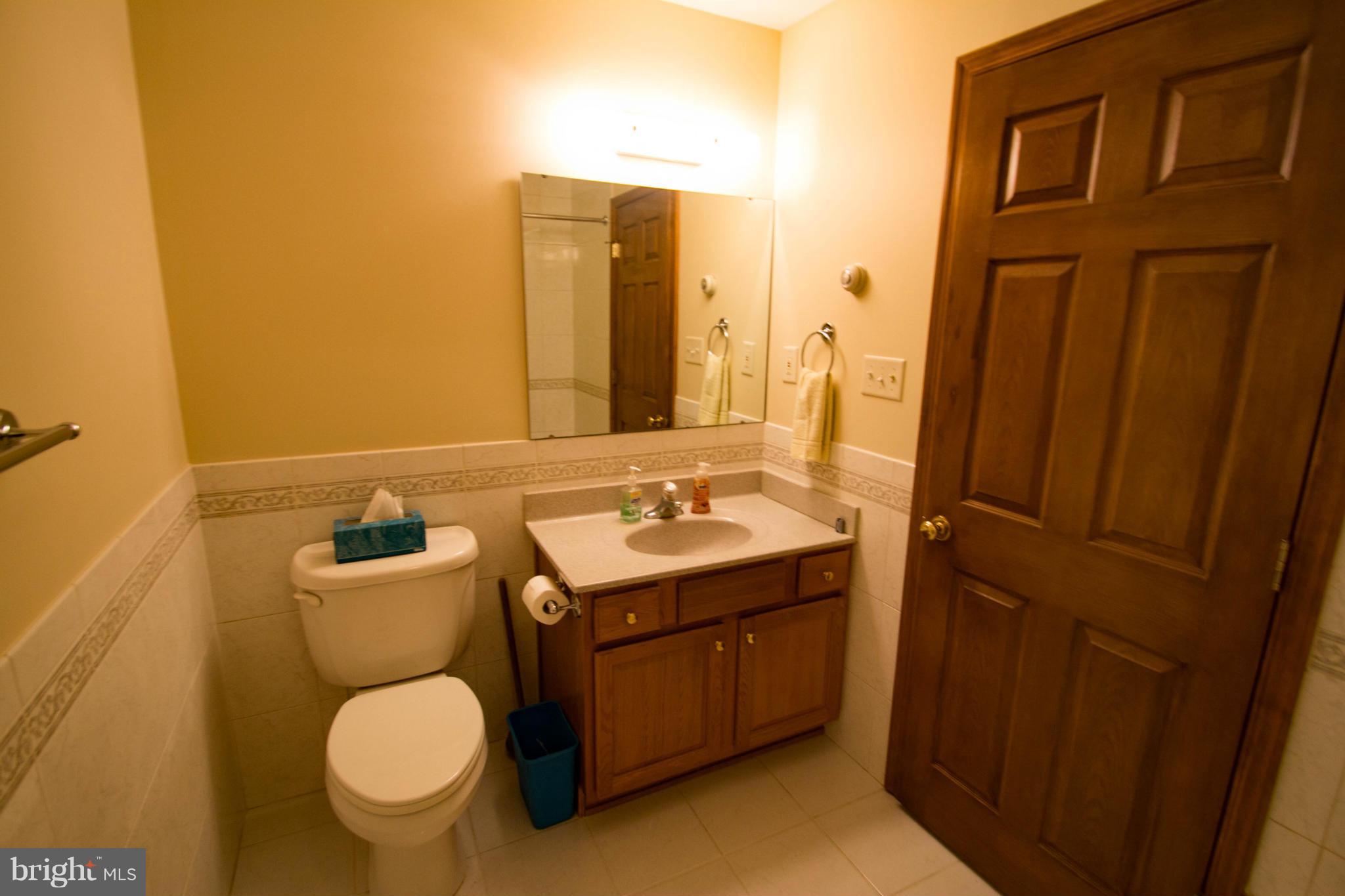 12536 Mummert Road Big Pool, MD 21711 - Photo 18 of 30 Bath