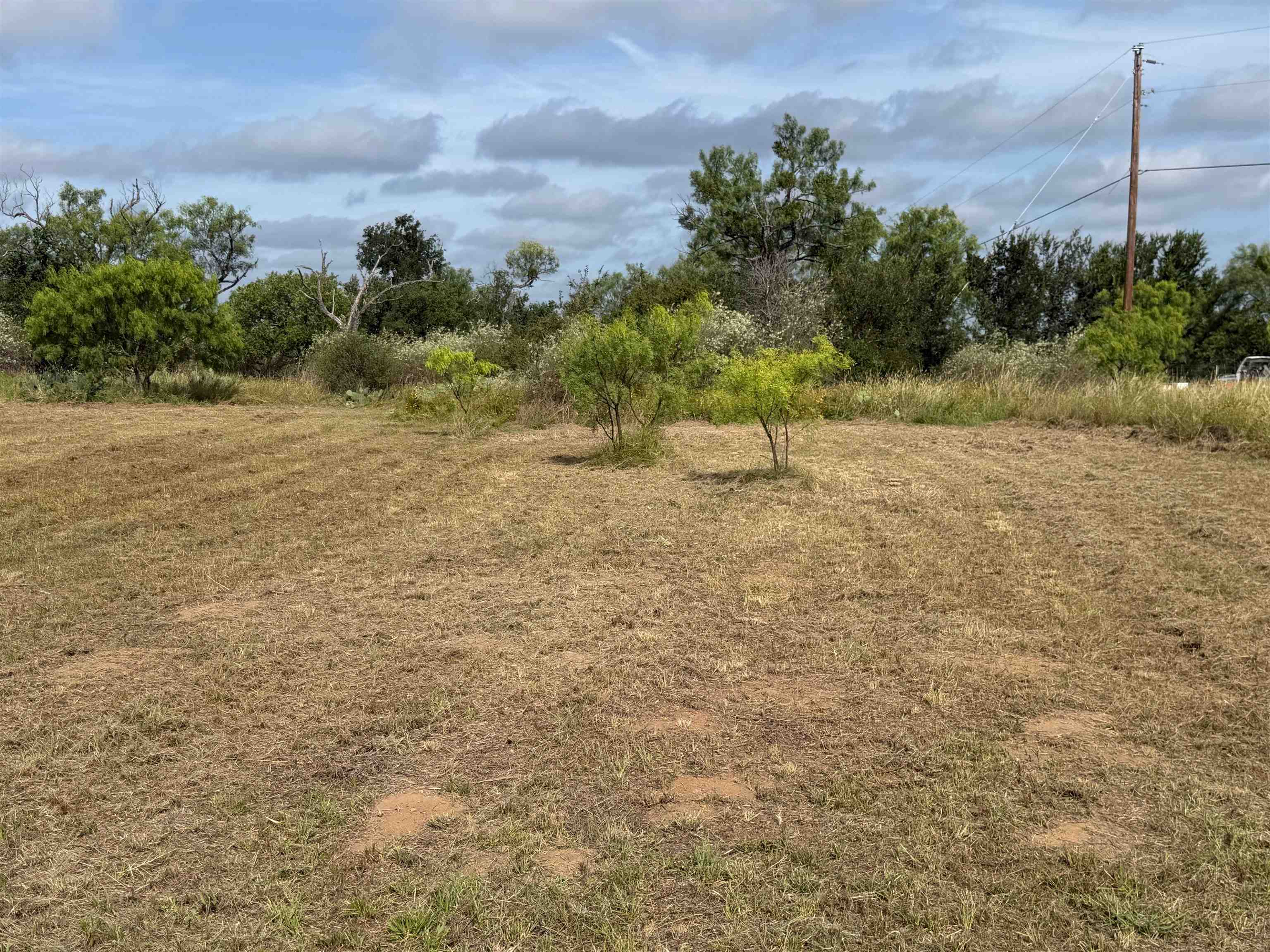 206 Thurman Loop Llano, TX 78643 - Photo 12 of 41
