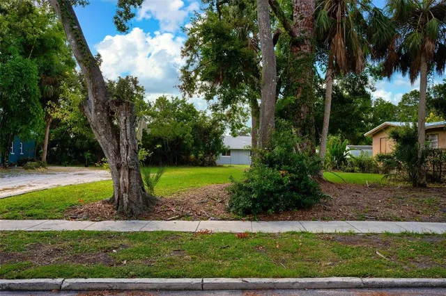 a view of a yard with a trees