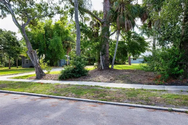 a view of a yard with palm trees