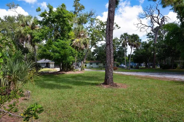 a view of a park with large trees