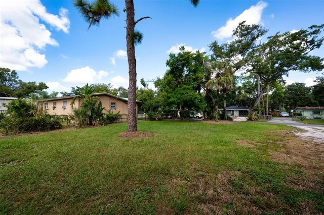 a view of a park with a tree