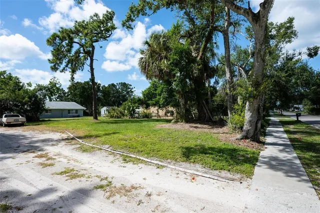 a view of a park with tree s