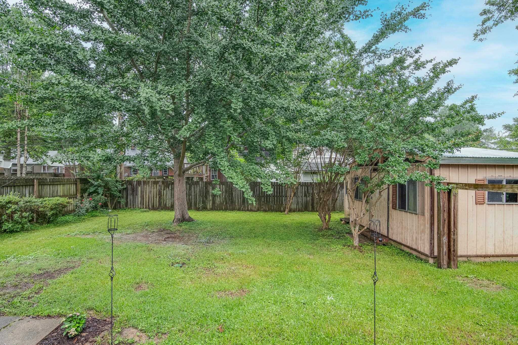 4970 Sequoia Road Memphis, TN 38117 - Photo 30 of 31 a backyard of a house with plants and large tree