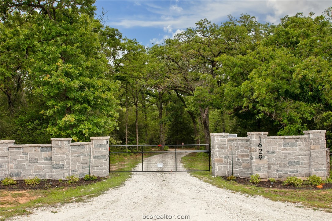 1629 Sawmill Road Franklin, TX 77856 - Photo 45 of 47 a view of a backyard