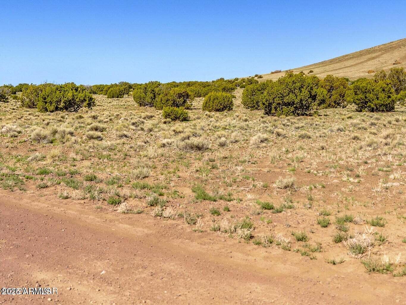 5106 Tbd Co Road Concho, AZ 85924 - Photo 5 of 6 a view of a field