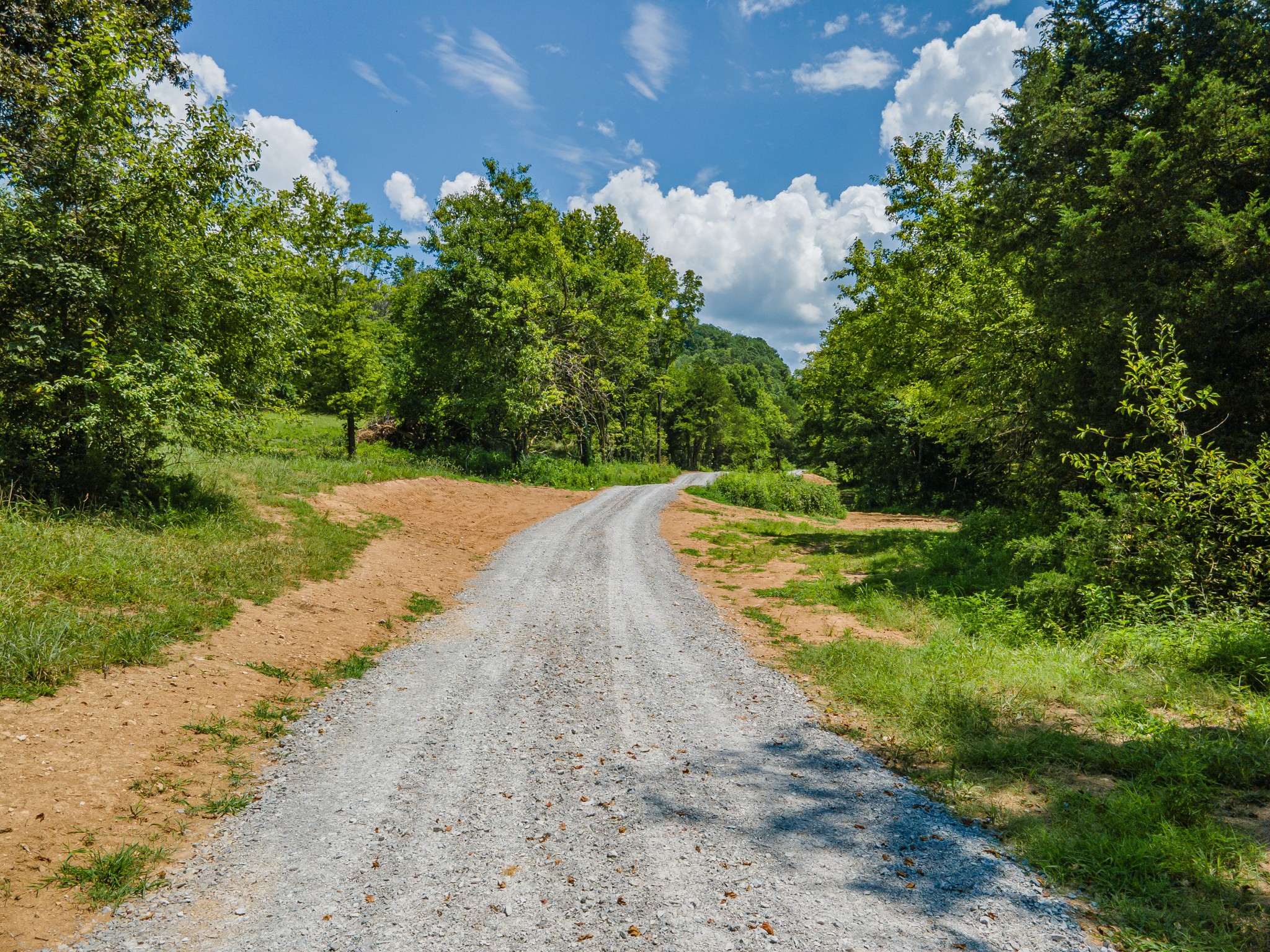 2970 Springplace Road Belfast, TN 37019 - Photo 12 of 38 a view of a street with a yard