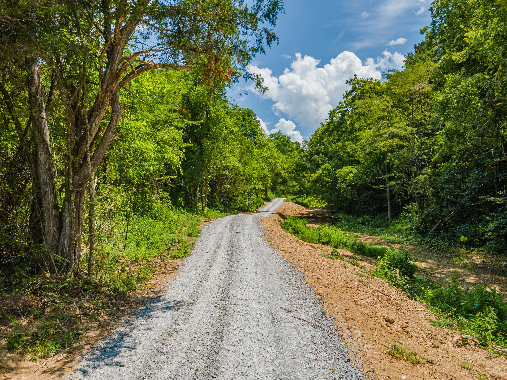2970 Springplace Road Belfast, TN 37019 - Photo 13 of 38 a view of street with small yard