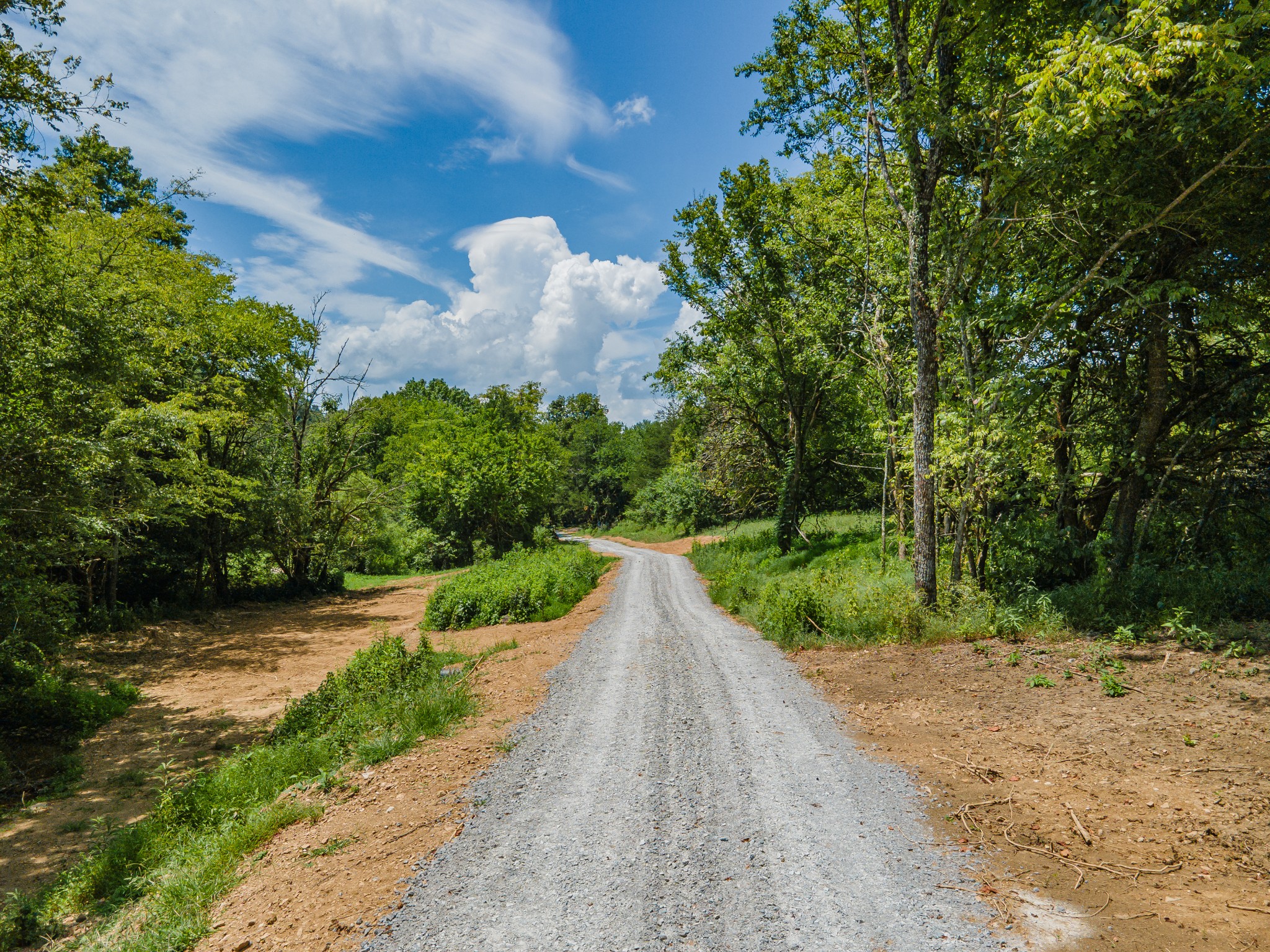 2970 Springplace Road Belfast, TN 37019 - Photo 14 of 38 a view of a street with a yard and a large tree
