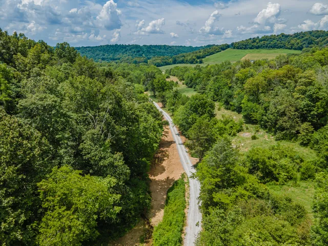 a backyard of a house with lots of plants and large trees