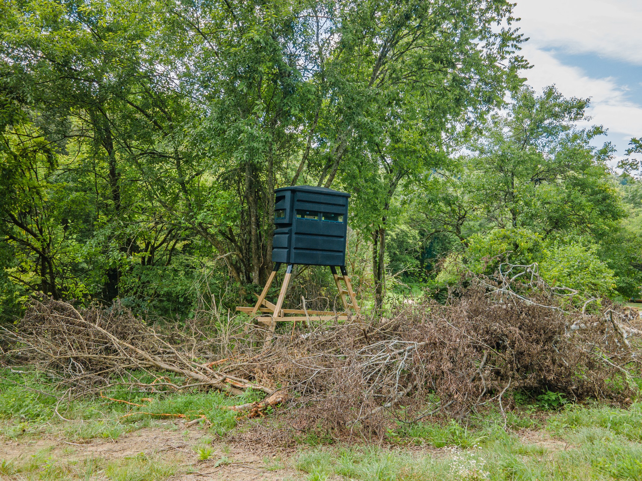 2970 Springplace Road Belfast, TN 37019 - Photo 16 of 38 a backyard of a house with lots of plants and large trees